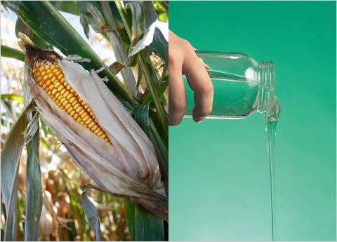 Glucose Syrup/Liquid Glucose Refined From Corn Starch