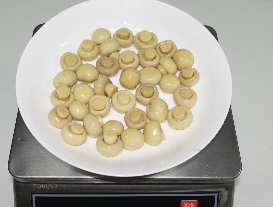 Fresh Mushroom Canned Whole Mushroom in Easy Open Lid