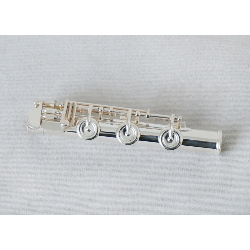 Wholesale/Supplier Price Custom Brand Nickel Finish 17 Holes Flute Brass Instrument