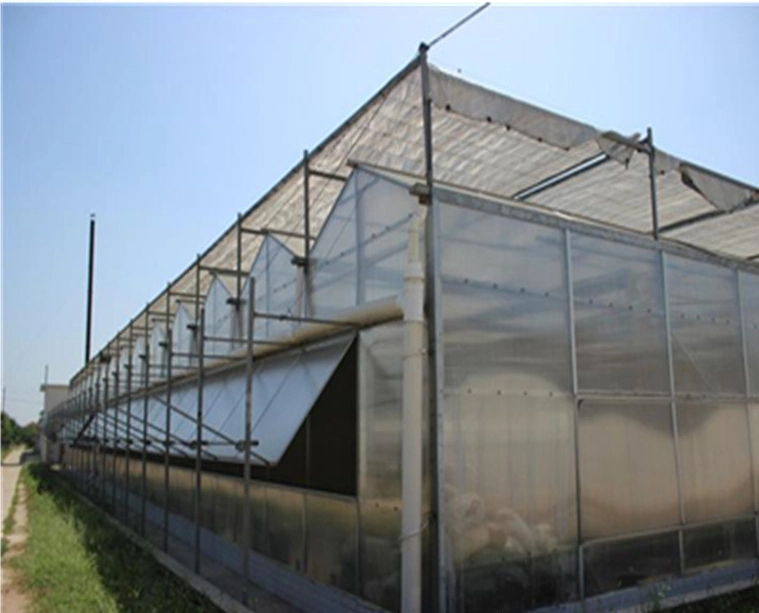 100% Virgin HDPE + UV 30%-90% Low Price Sunshade Net