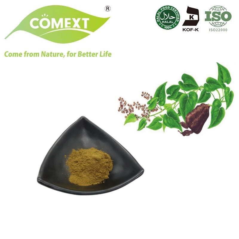 Comext Chinese Herb Extract He Shou Wu Extract