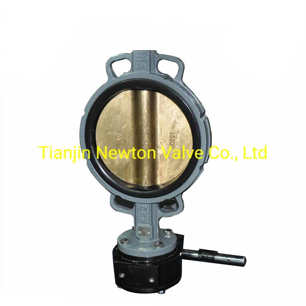 Series 50 52 53 54 55 56 58 Wafer Lug Mono Double Flanged High Performance Butterfly Valve Manual Lock Lever Worm Gear Vertical