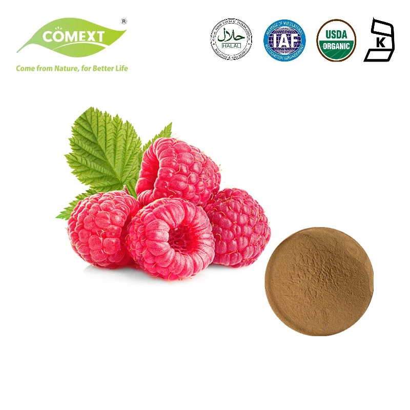 Comext Best Price Pesticide Free Plant Extract Raspberry Extract Powder for Eye Protection