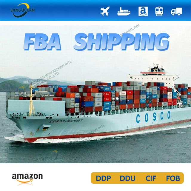 Sea Freight Professional International Logistics From China to USA/ Canada/ Europe