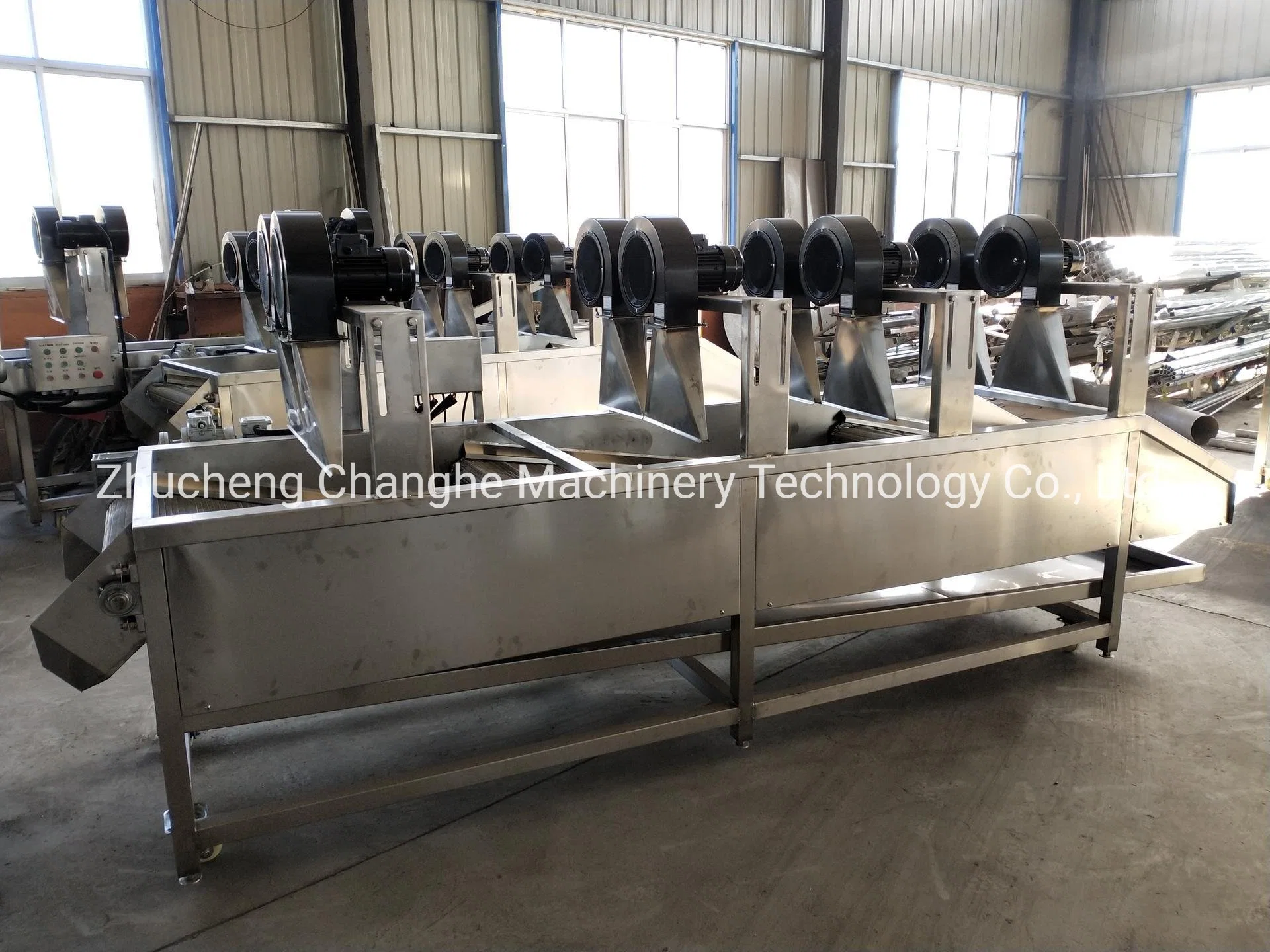 Leaf Vegetable Processing and Cleaning Production Line