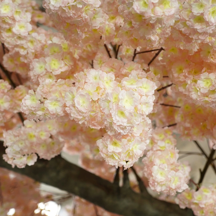 Fleurs arbres artificiel arbre fausse cerisier en gros décor de maison