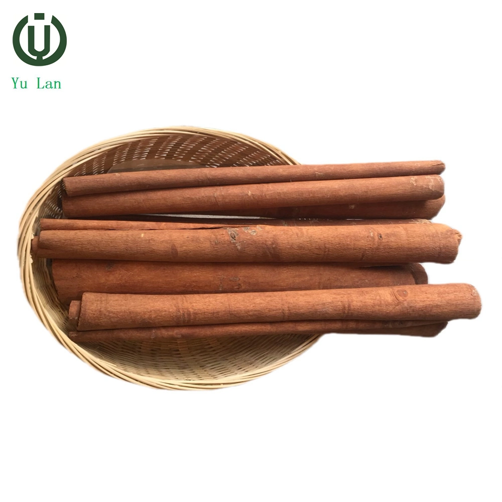 Wholesale Dry Cinnamon Bark Extract Sun Dried