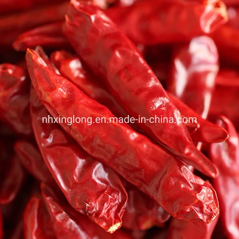 Hot Sale Dry Red Chilli Importers FDA