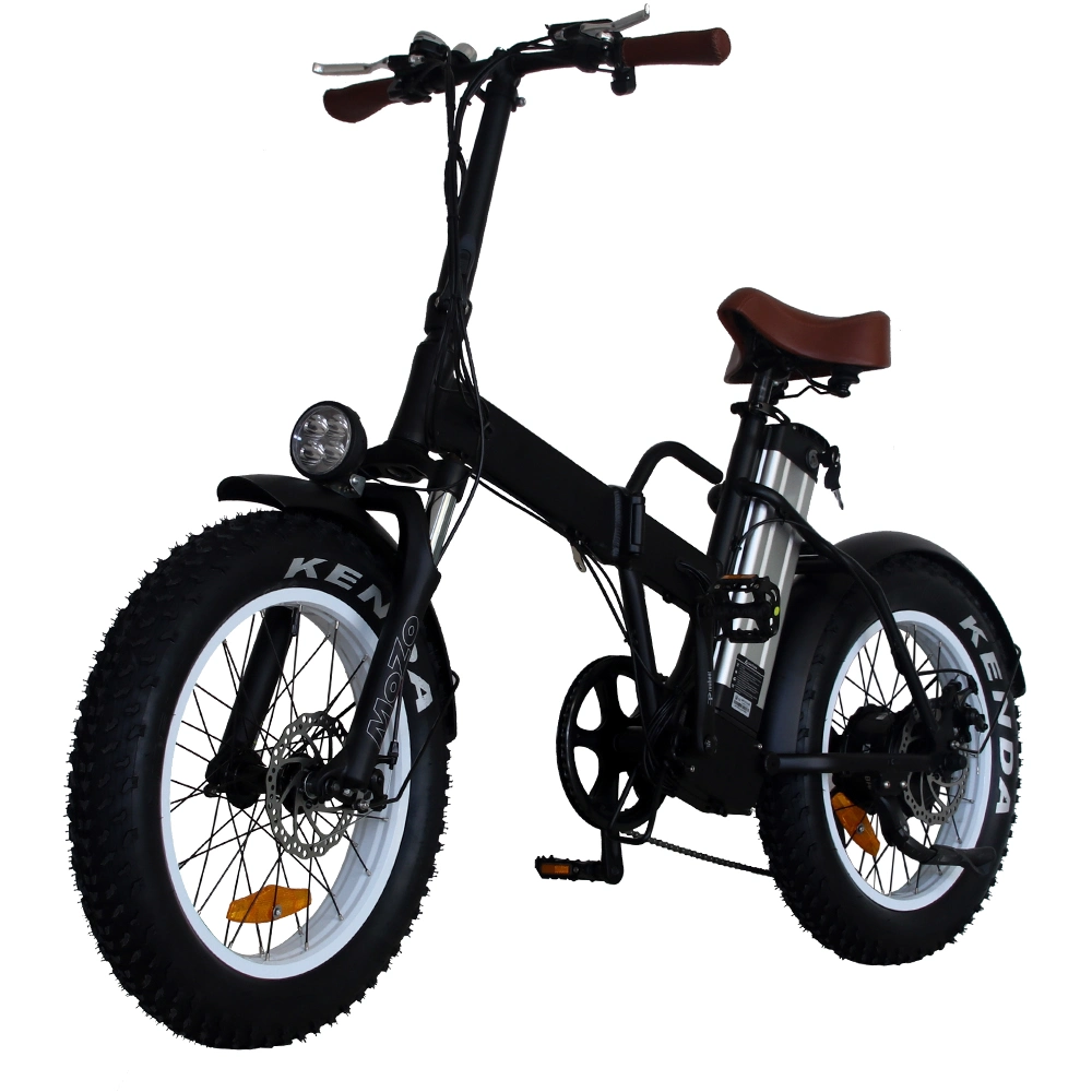 20 Inch 250W/350W/500W Folding Fat Tyre Electric Ebike with CE