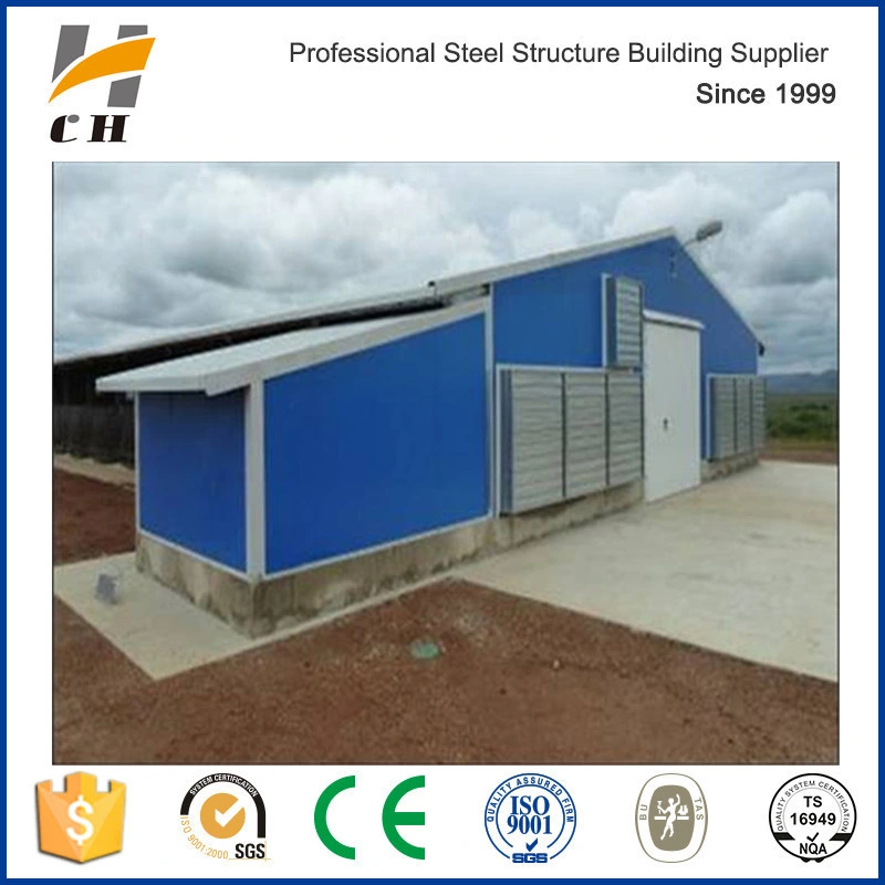 Prefab Low Price High quality/High cost performance  Steel Structure Cage Rearing Poultry Farm/Shed/House/Building for Africa
