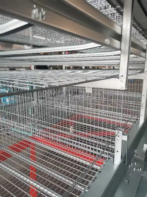 Las aves de corral pollo huevos jaula jaula para la venta