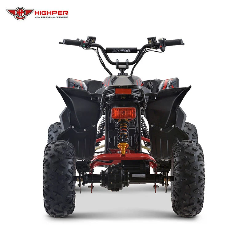 Entraînement par arbre 750 W 1 200 W, Quad Bike électrique à quatre roues, VTT