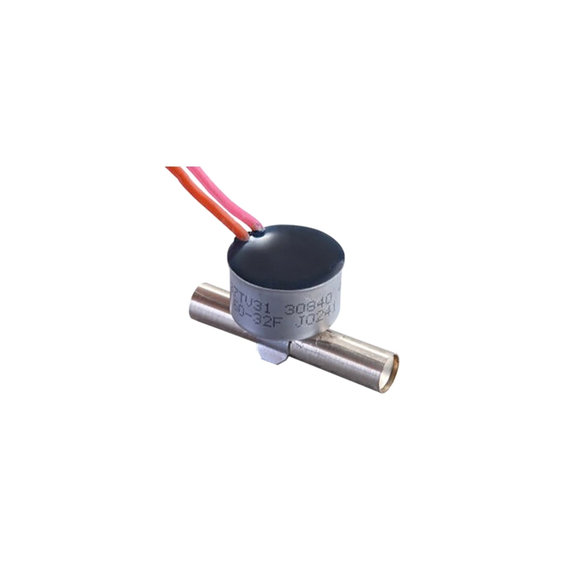 High Quality Electronic Thermostat for Refrigerator (DT-1003)