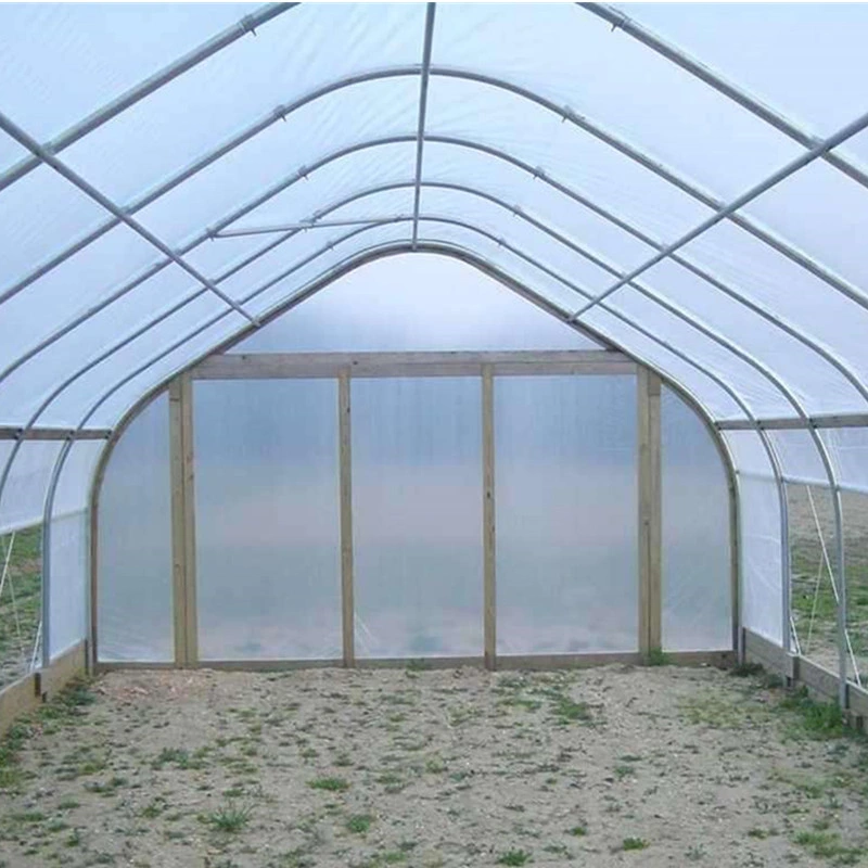 Zewo Commercial Used Tropical Greenhouse Plant Green House for Indoor Vertical Growing