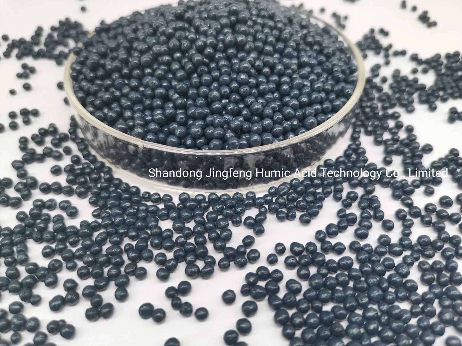 Granular Agrochemical Organic Fertilizer Amino Acid Compound Humic Acid Agriculture Use Balck Shiny Granule