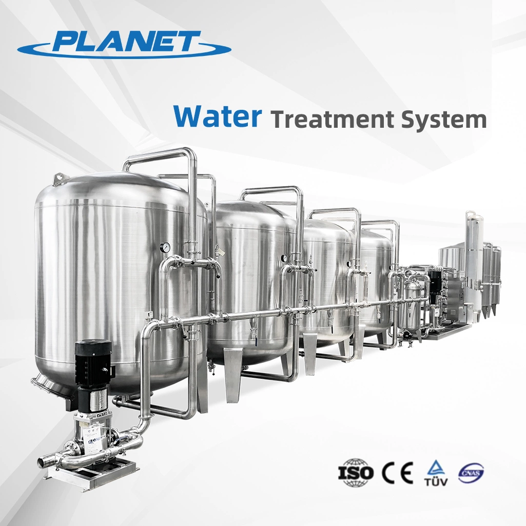 RO System for Treating Seawater, Salt Water Treatment System Into Drinking Water, Automatic Control System