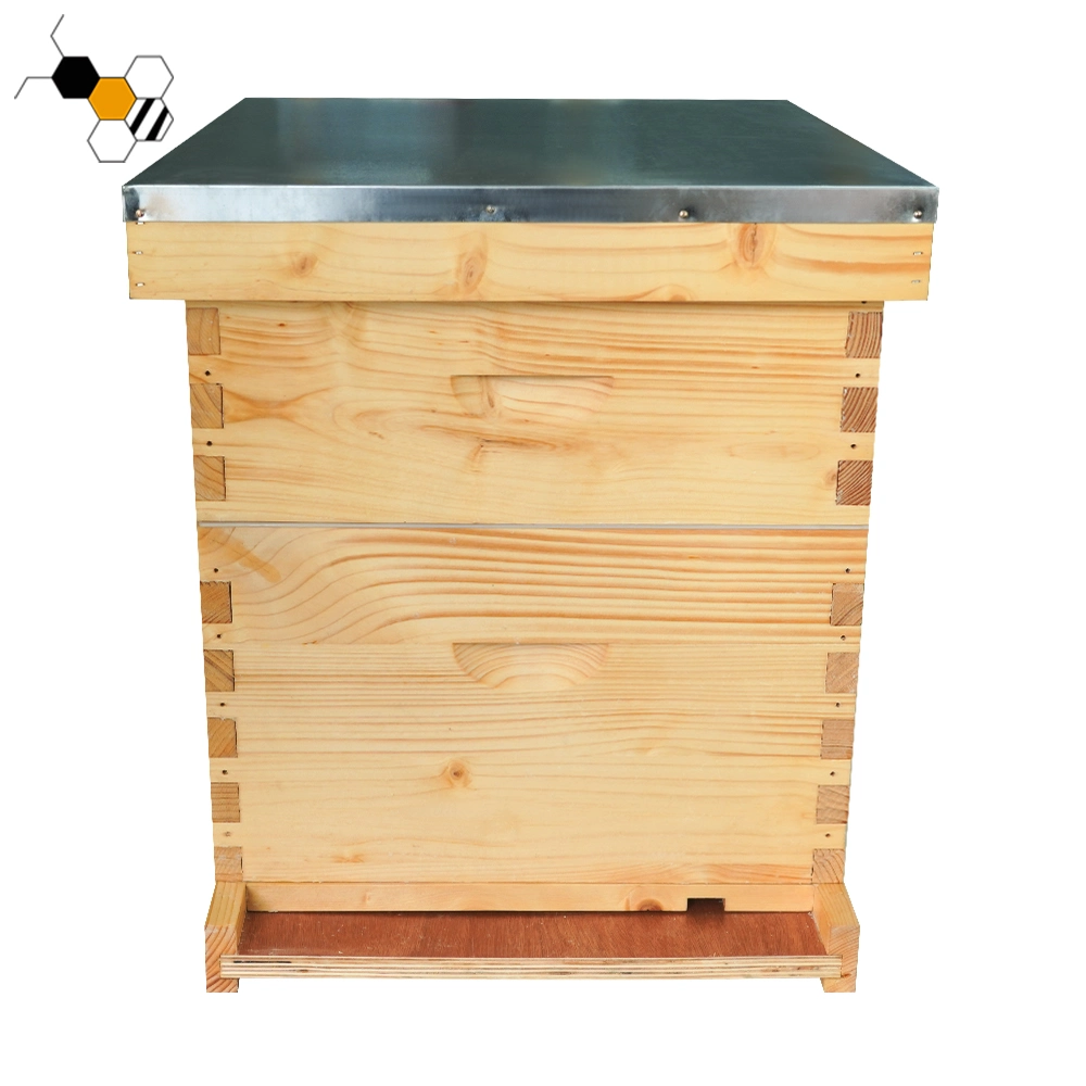 L'équipement d'Abeille apiculture ruche Langstroth Boîte en bois d'abeille