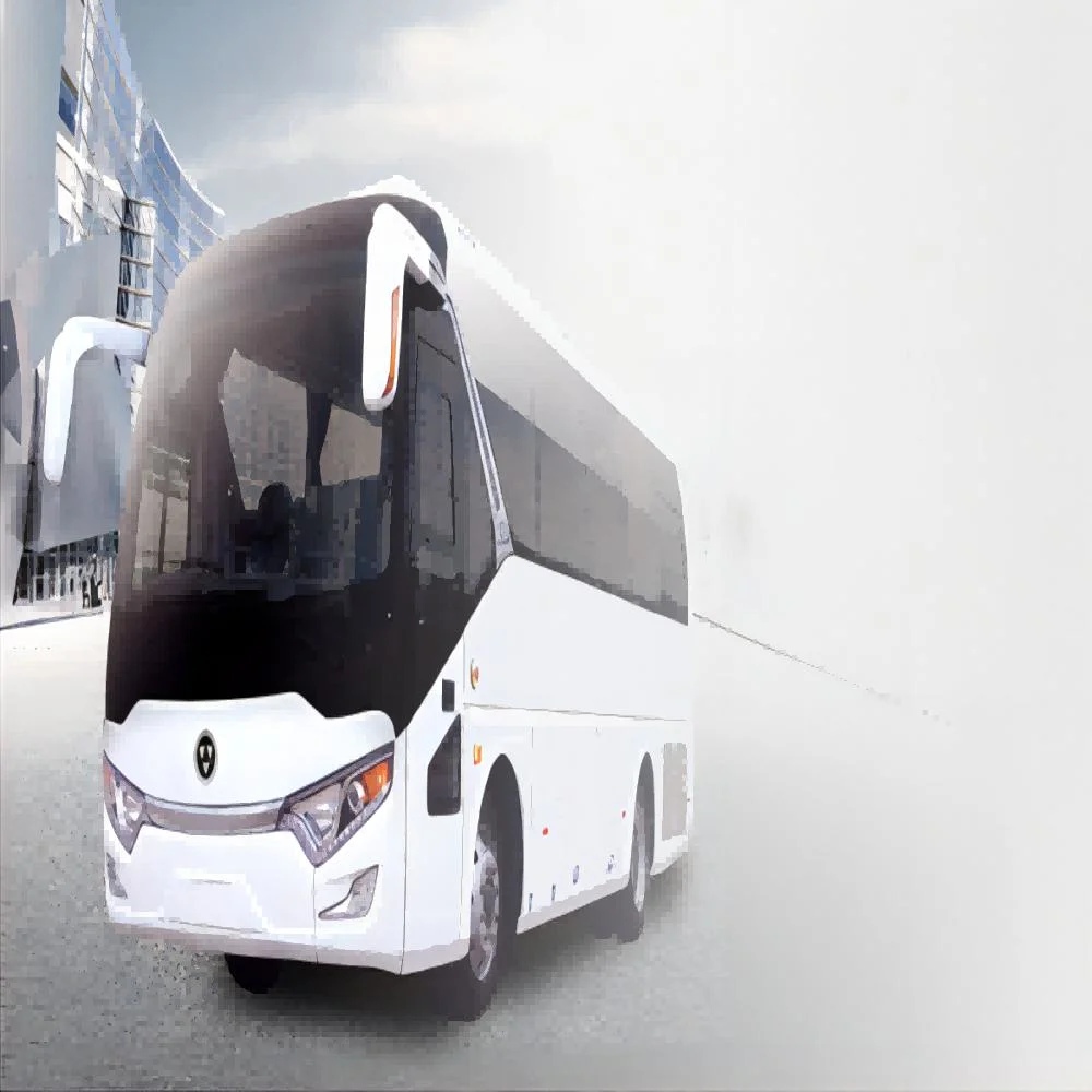 Chery Wanda Bus LNG Erdgas Treibstoff Bus mit Ein Gasmotor