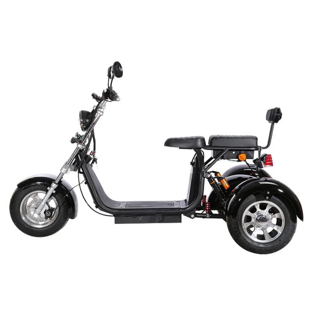 Motociclos de motor 3 rodas para motociclos de 2000 W para passageiros elétricos baratos durante Adultos Cor personalizada