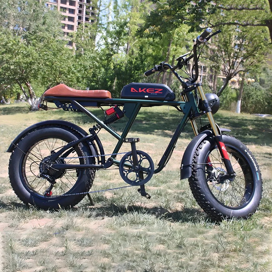 20*4,0 pulgadas Retro Electric Dirt Bike 48V larga duración de la batería Bicicleta de montaña eléctrica se puede mejorar con baterías dobles