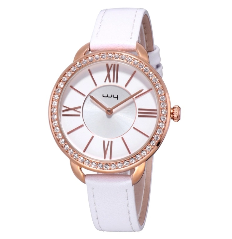 Fashion Mesdames Pierres Cz en alliage de bijoux en cuir de cas Watch (WY-147)