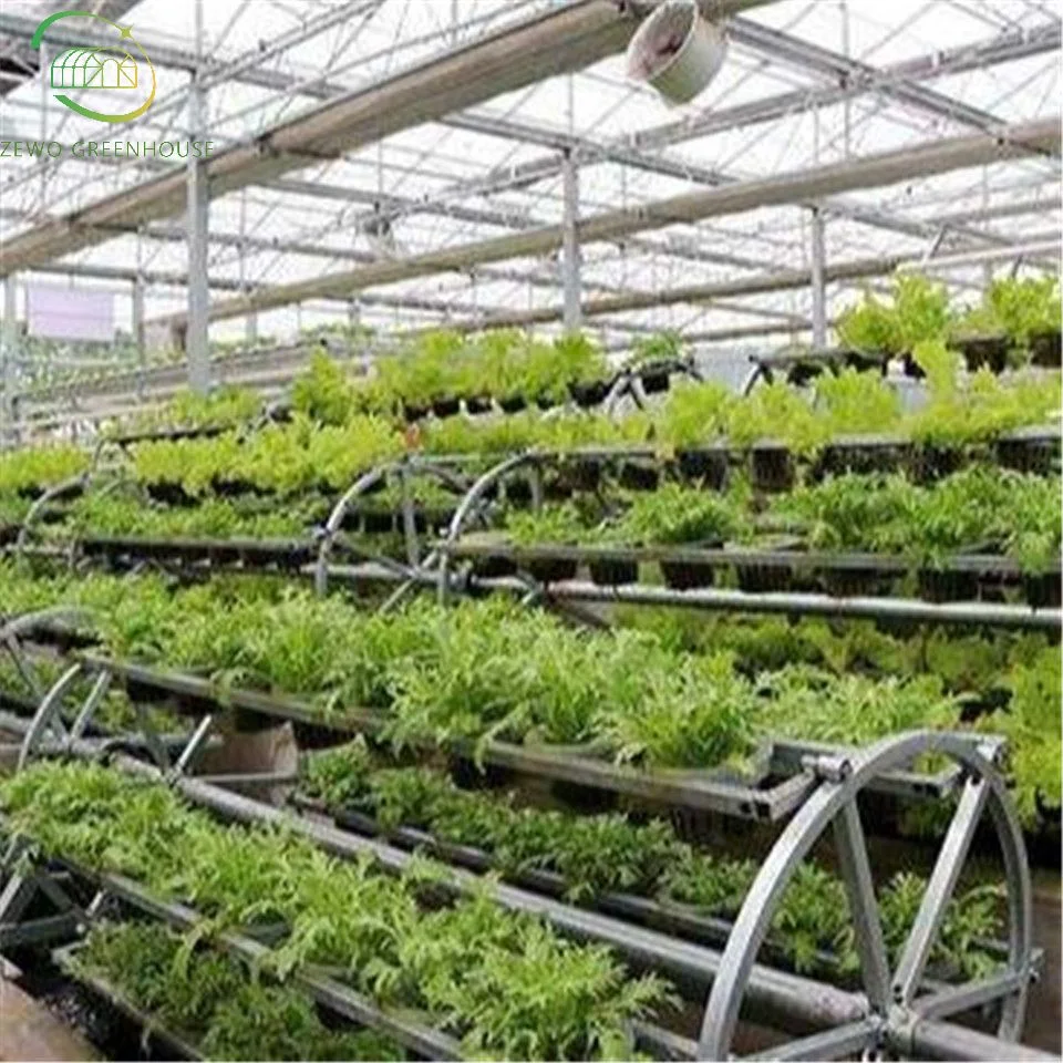 Vertical Farming Grow Rack Aeroponics Hydroponic Growing Systems