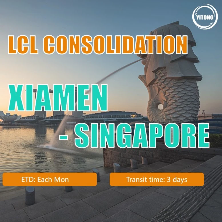 LCL Shipping From Shanghai to Singapore