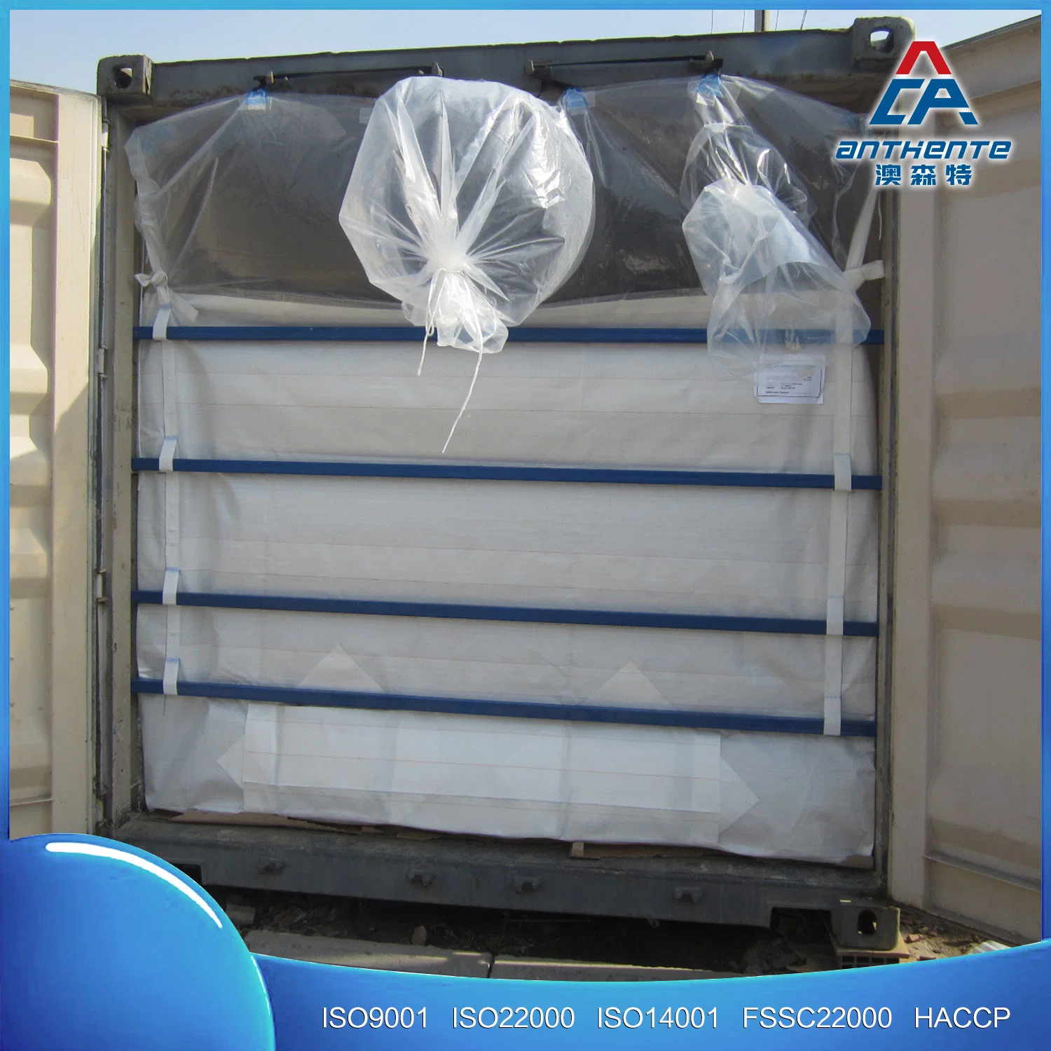 Rendimiento de alta calidad/alto costo 20ft High Strength Dry Bulk Container Liner for Granule mascota