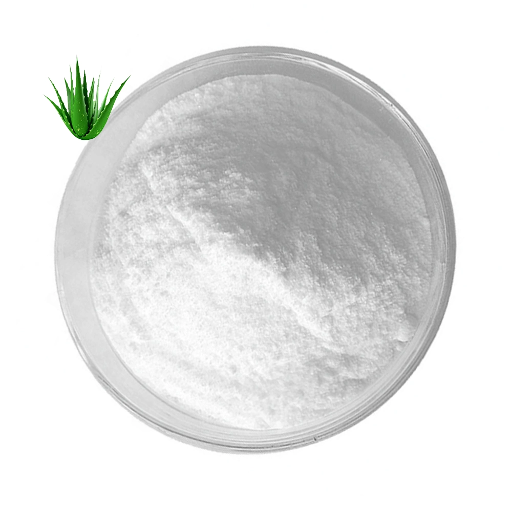 Wholesale/Supplier Bulk Aloe Vera Gel Freeze Dried Extract Powder