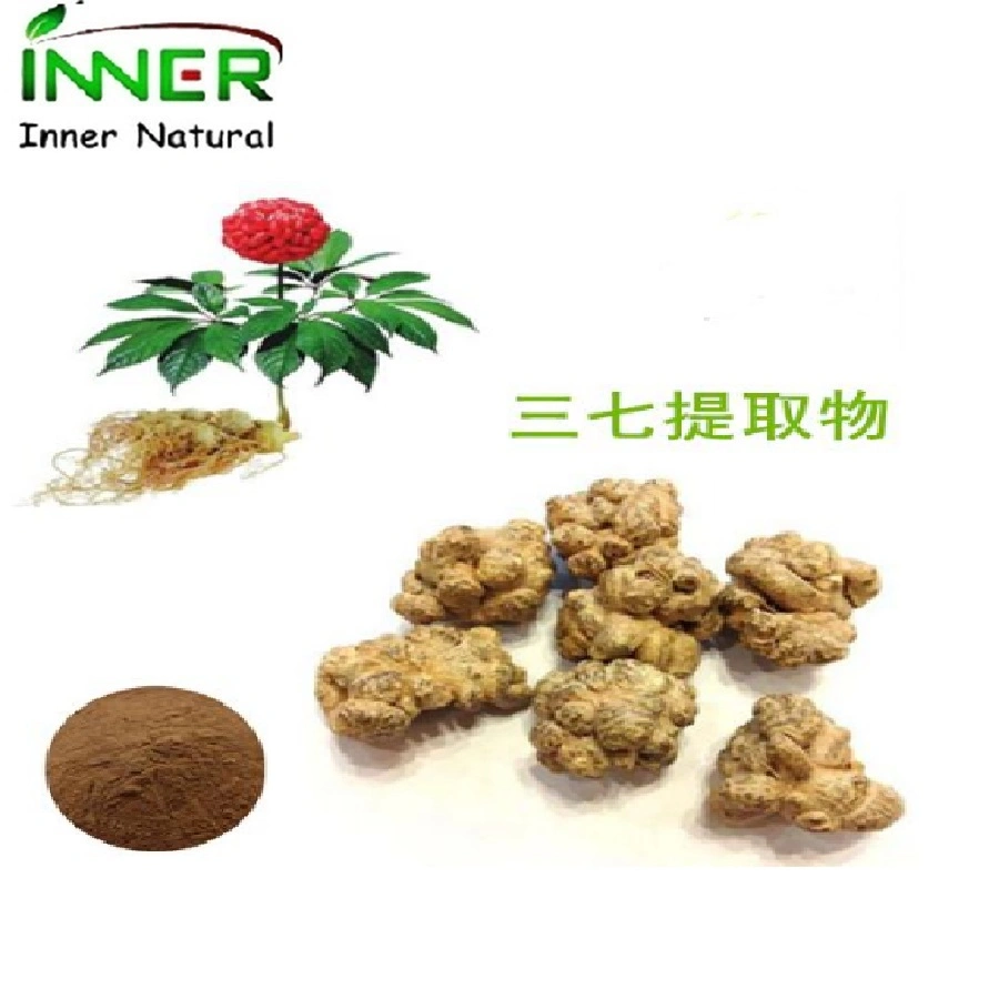 Saponinas herbales chinas orgánicas 80% UV Sanchi Panax Notoginseng raíz Extraer