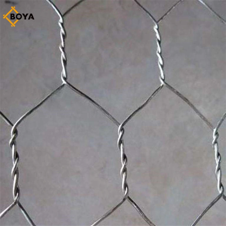 PVC Coated Chicken Wire Netting Green Coated Hexagonal Wire Mesh Factory