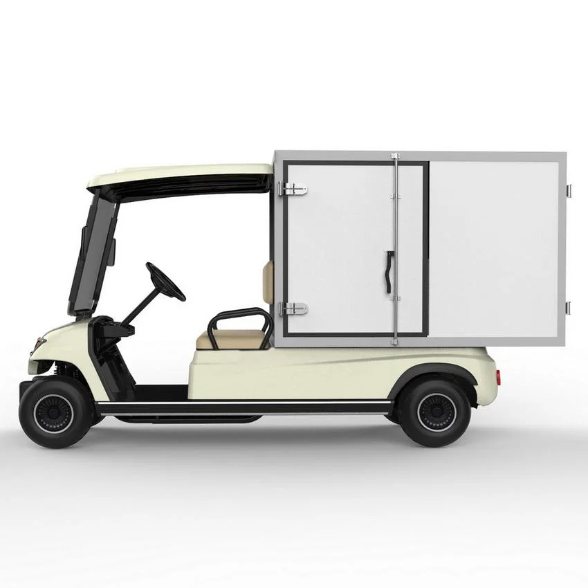 48V System 2 Seats Electric Cargo Car