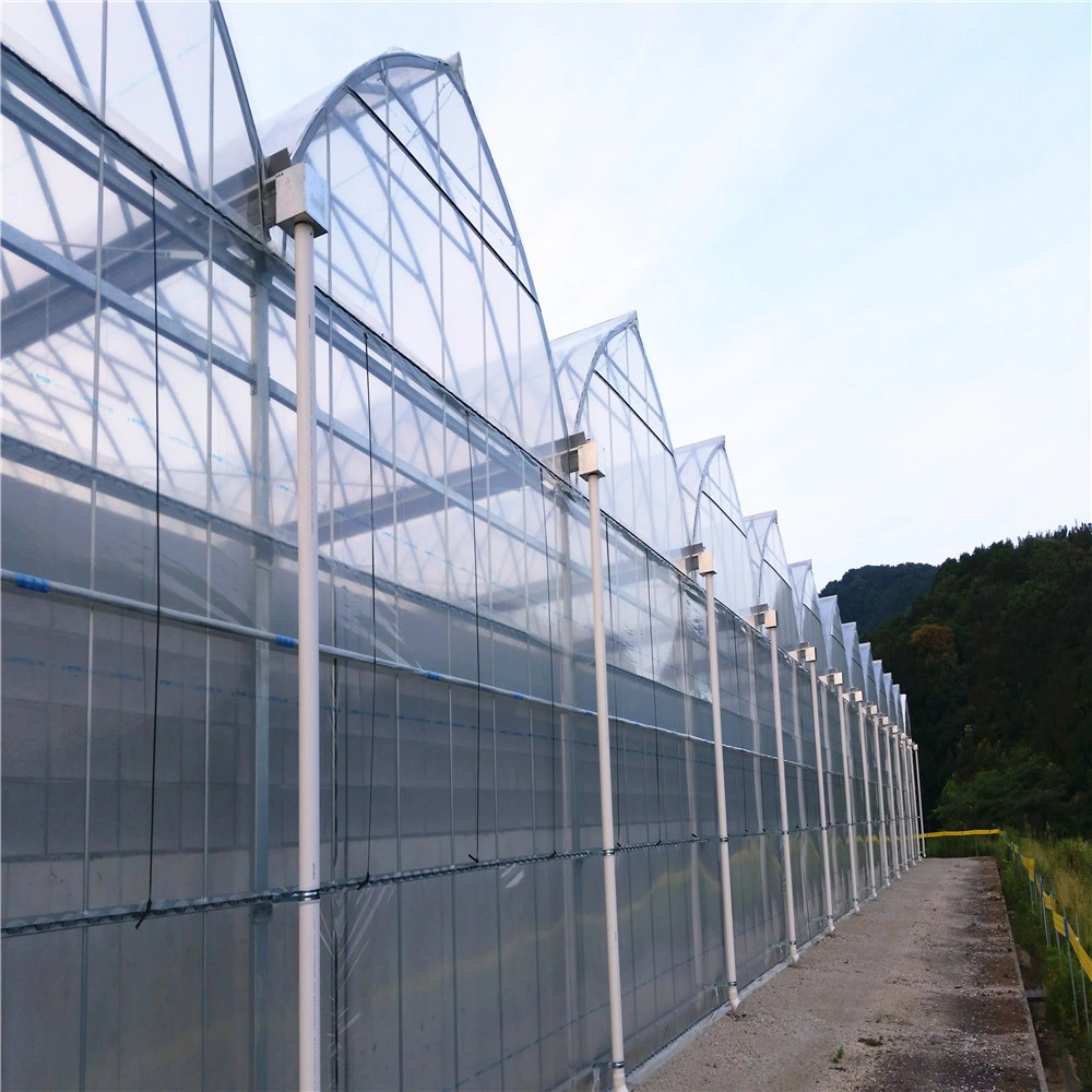 High Tunnel Greenhouse Steel Frame