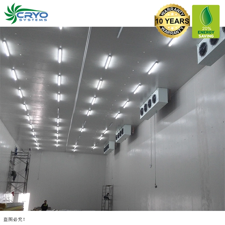 +10c~-60c Fruits Sellers High quality/High cost performance New Cold Storage Warehouse Construction