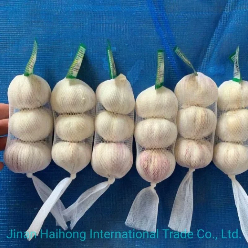 Chinese Fresh White Garlic for Export of Fresh Vegetables