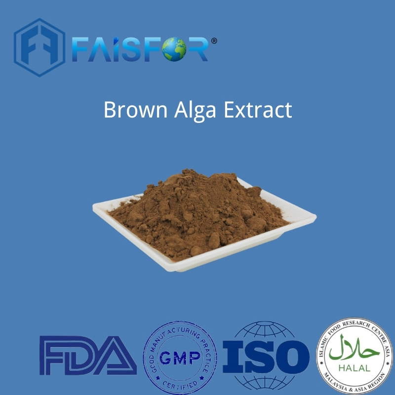 Brown Algae Kelp Extract More Than 20% Fucoxanthin Powder