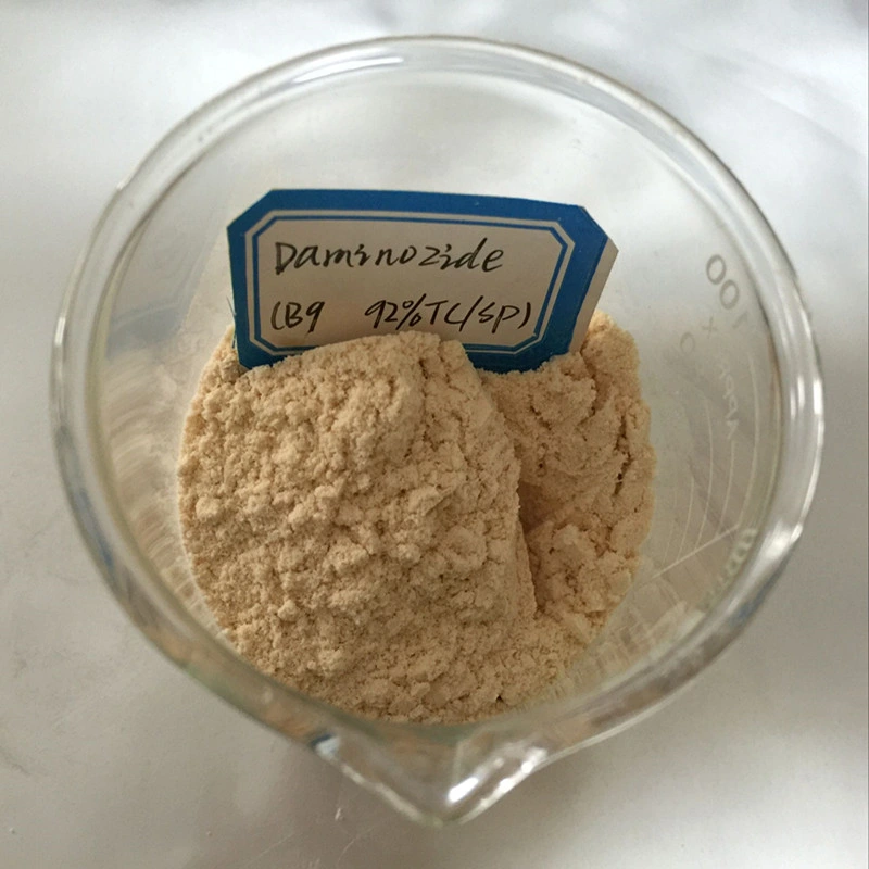 China Wholesaler 98%Tc Daminozide Plant Hormones B995 Alar 85 for Sale