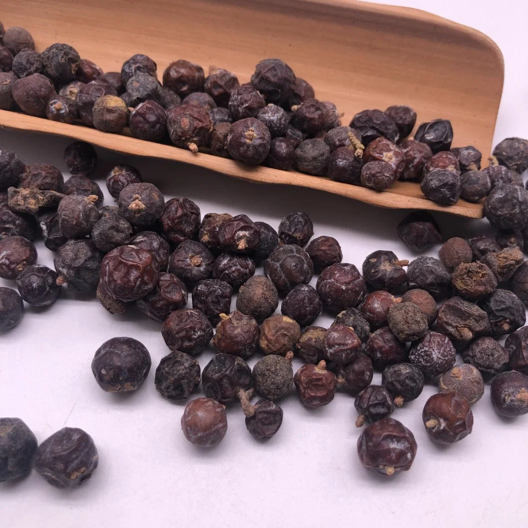 Du Song Zi Juniperus Communis Linnaeus Herbal Fruit Juniper Berry