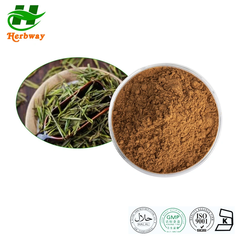 Herbway Kosher Halal Fssc HACCP Certified Plant Extract Health Care Products White Tea Powder