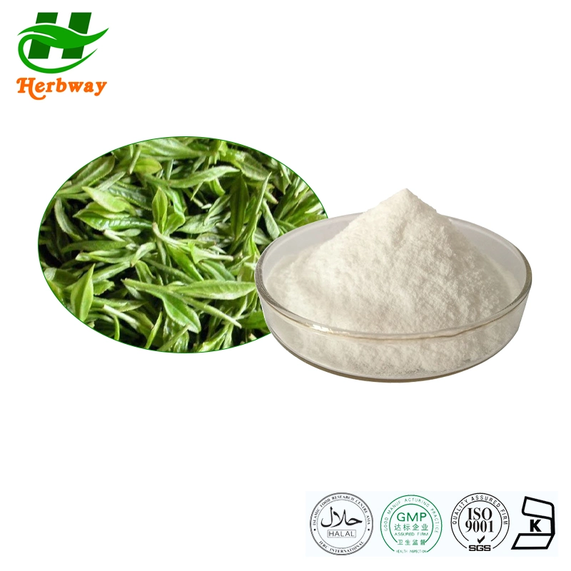 Herbway Herbal Extract Sweet Tea Leaf Extract Rubusoside Sweet Tea Extract