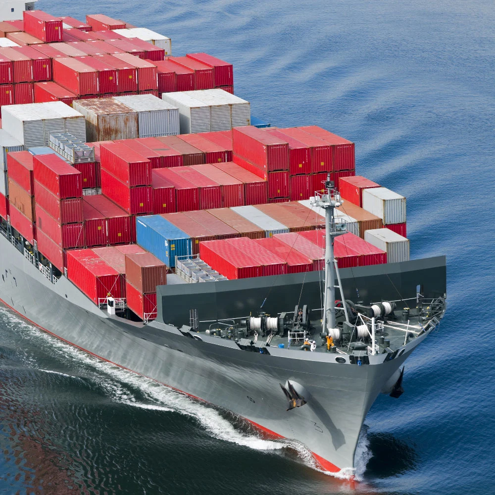 Cheap Food Shipping Agent Ocean Freight Sea Shipping From China to The USA UK France