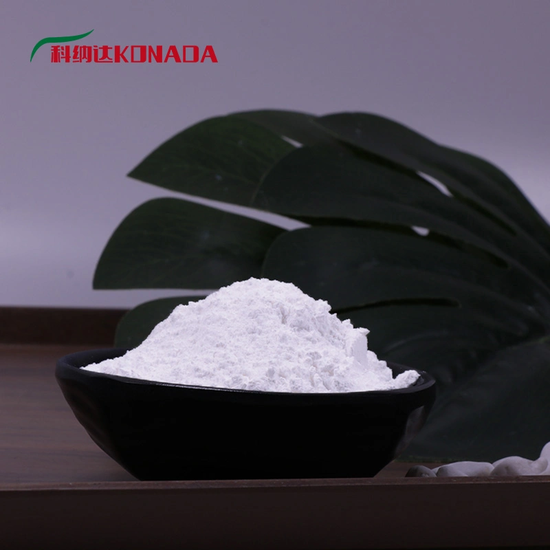 أكسيد الألومنيوم بالنانو، Nano Al2O3، Gamma Alumina، R-Al2O3، CAS#1344-28-1