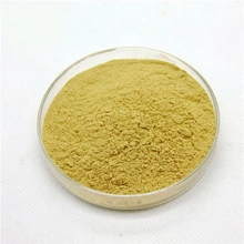 Wholesale/Supplier Honeysuckle Extract Powder Chlorogenic Acid