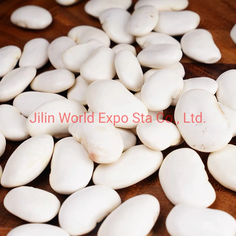 High quality/High cost performance Dried White Kidney Beans From Factory