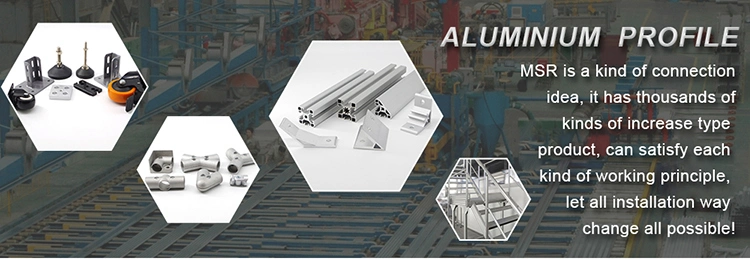 Factory Price 8125-GB 3060c Aluminium Extrusion Anodized Aluminium Profile Wholesale/Supplier Aluminum Products