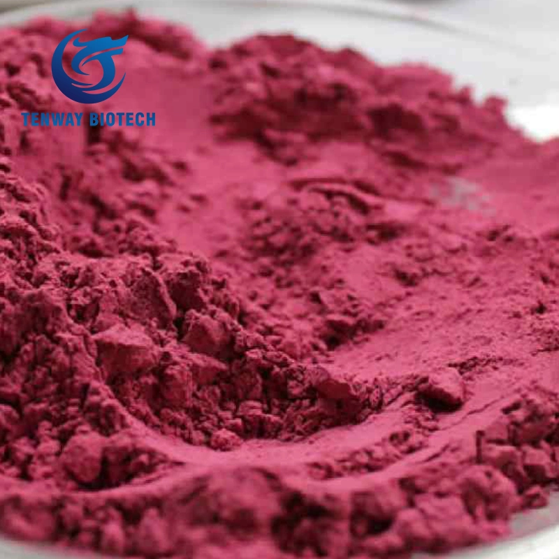 Halal Pure Natural Beetroot Powder Beet for Food Supplement Factory Supply