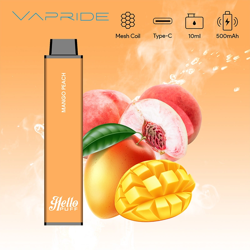 6000 Puffs Einweg Vape Pen E Zigarette mit Mesh Coil Wiederaufladbarer Akku