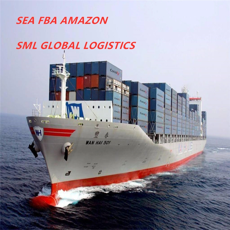 Agent de transitaire maritime en Allemagne et en Pologne DDP DDU Et le service Amazon