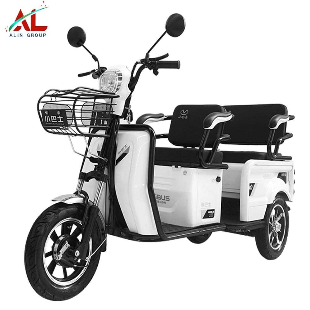 Three Wheel Electric Tricycle Electrical Motorcycle Al-Q100