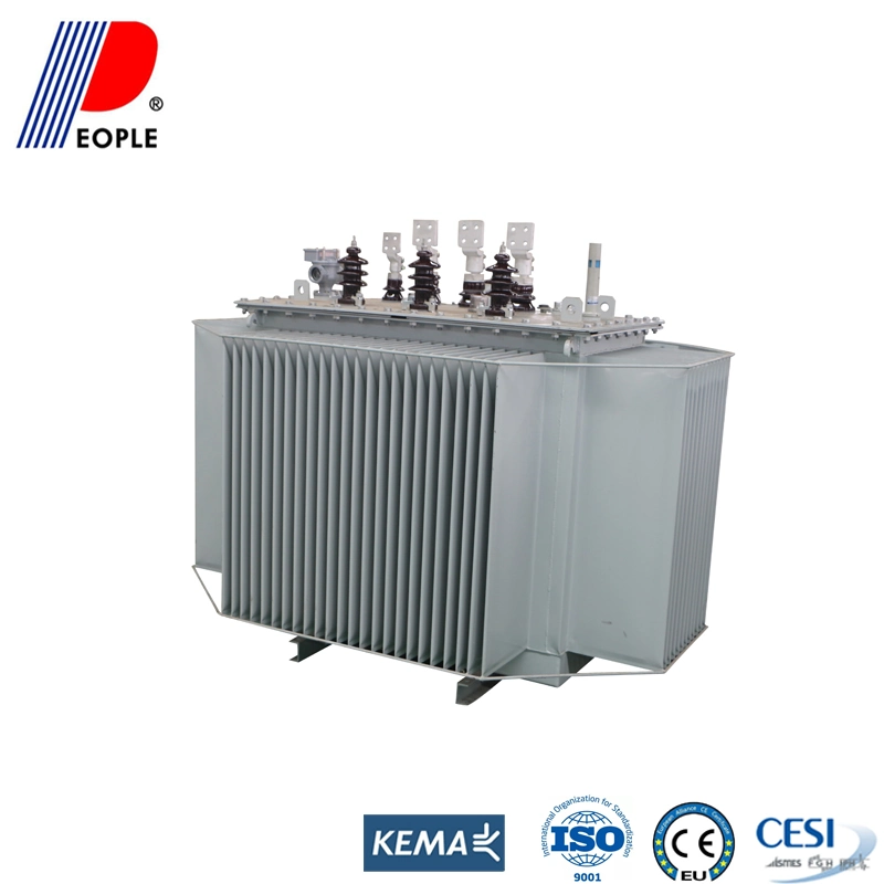 33kv S11-33/0.41 1250kVA Oil Immersed Distribution Power